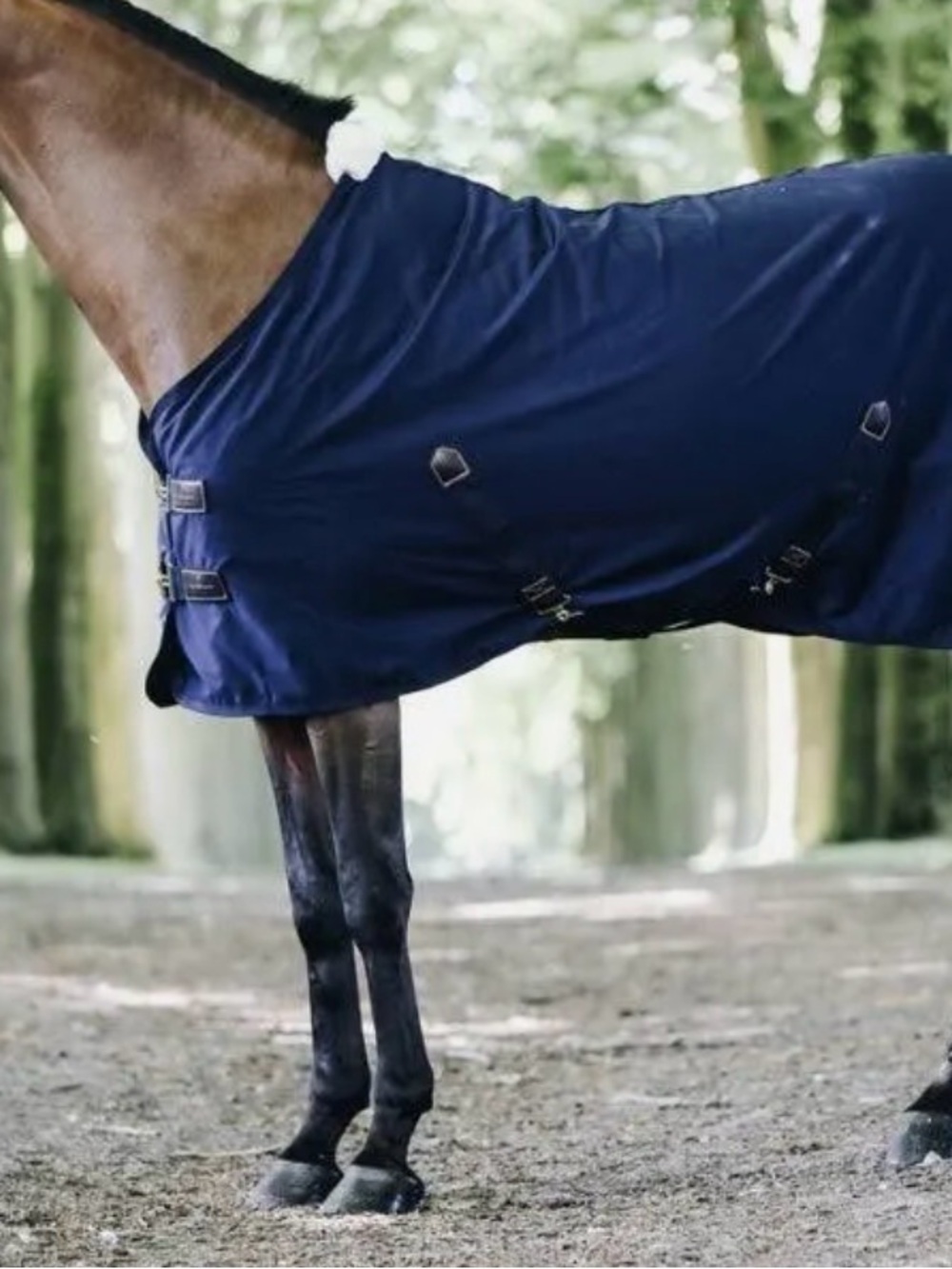 Kentucky Horsewear Cotton Blanket - 75